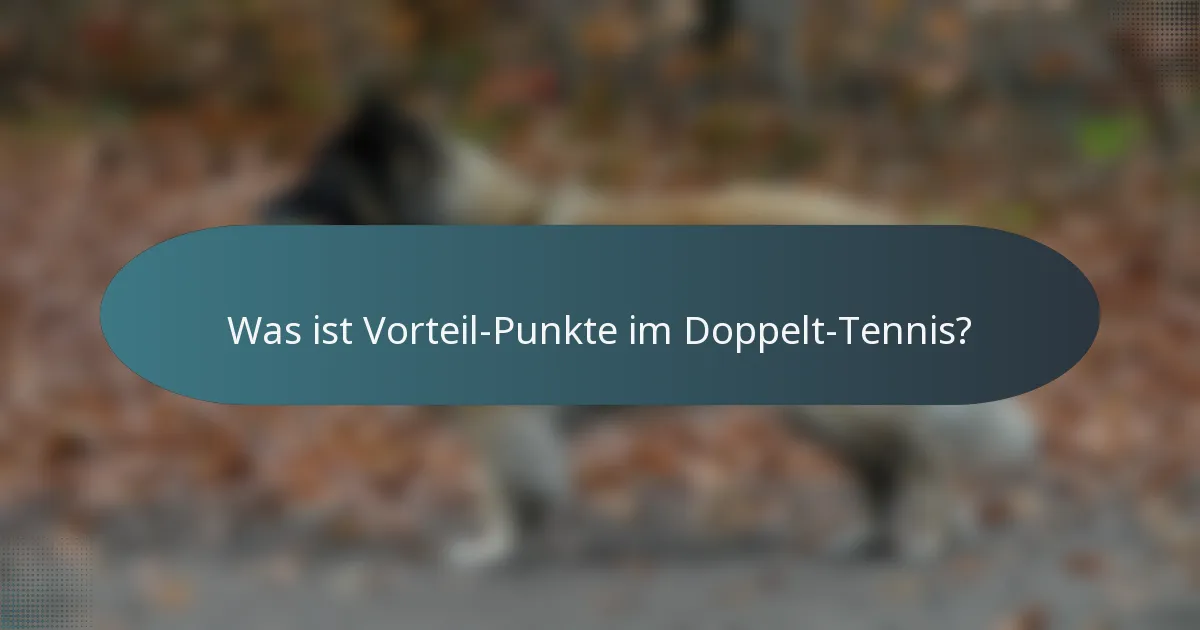 Was ist Vorteil-Punkte im Doppelt-Tennis?
