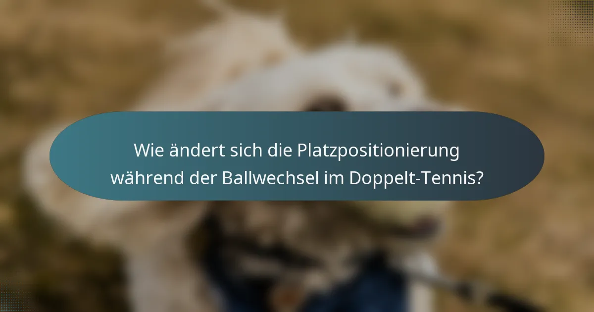 Wie ändert sich die Platzpositionierung während der Ballwechsel im Doppelt-Tennis?