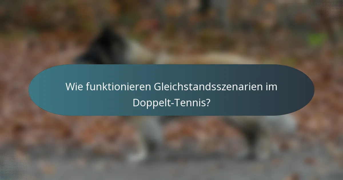 Wie funktionieren Gleichstandsszenarien im Doppelt-Tennis?