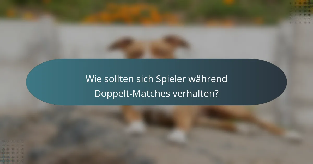 Wie sollten sich Spieler während Doppelt-Matches verhalten?